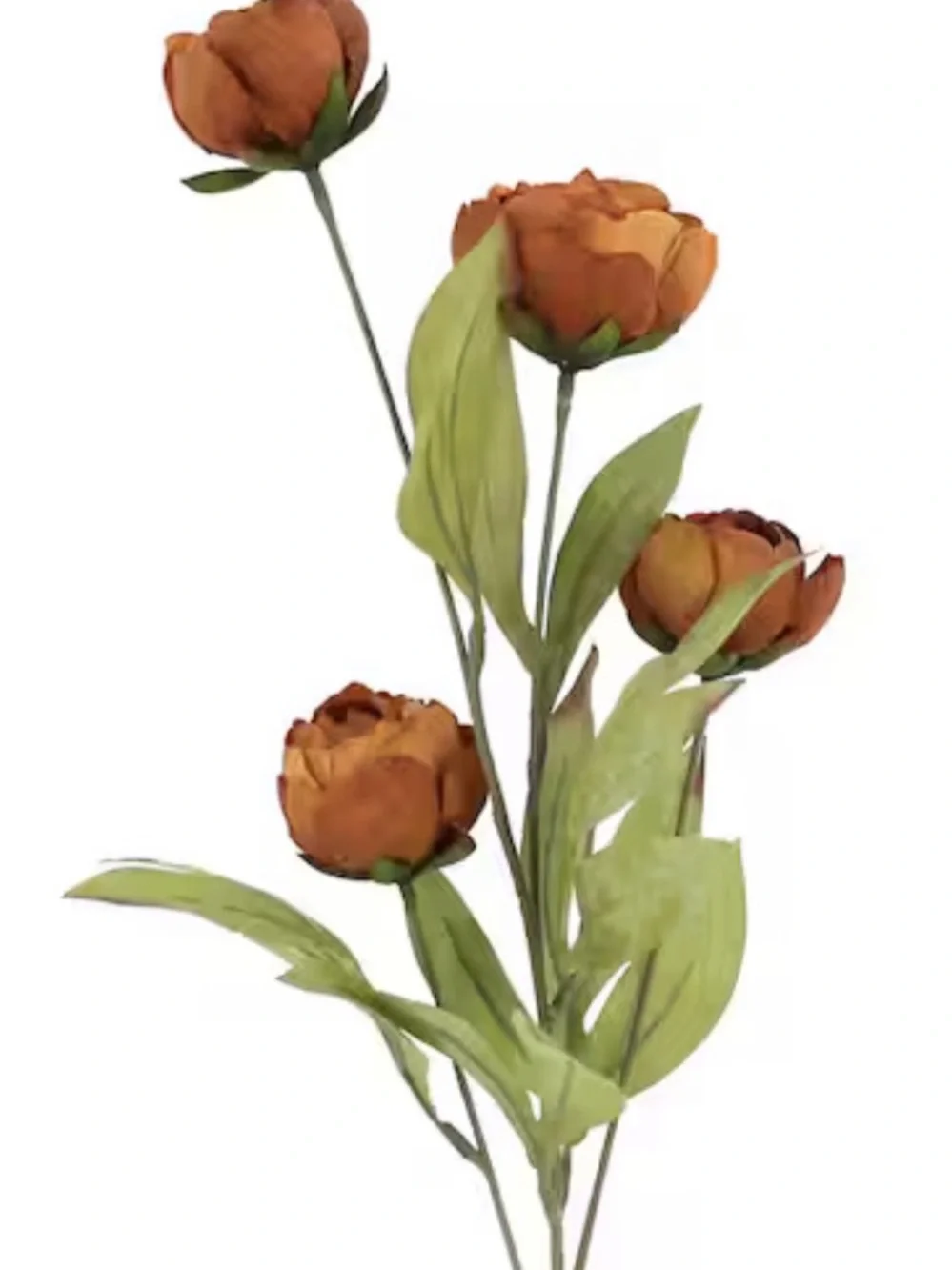 Ashland Brown Silk Peony Stems in Brown and White Floral Toile Pitcher